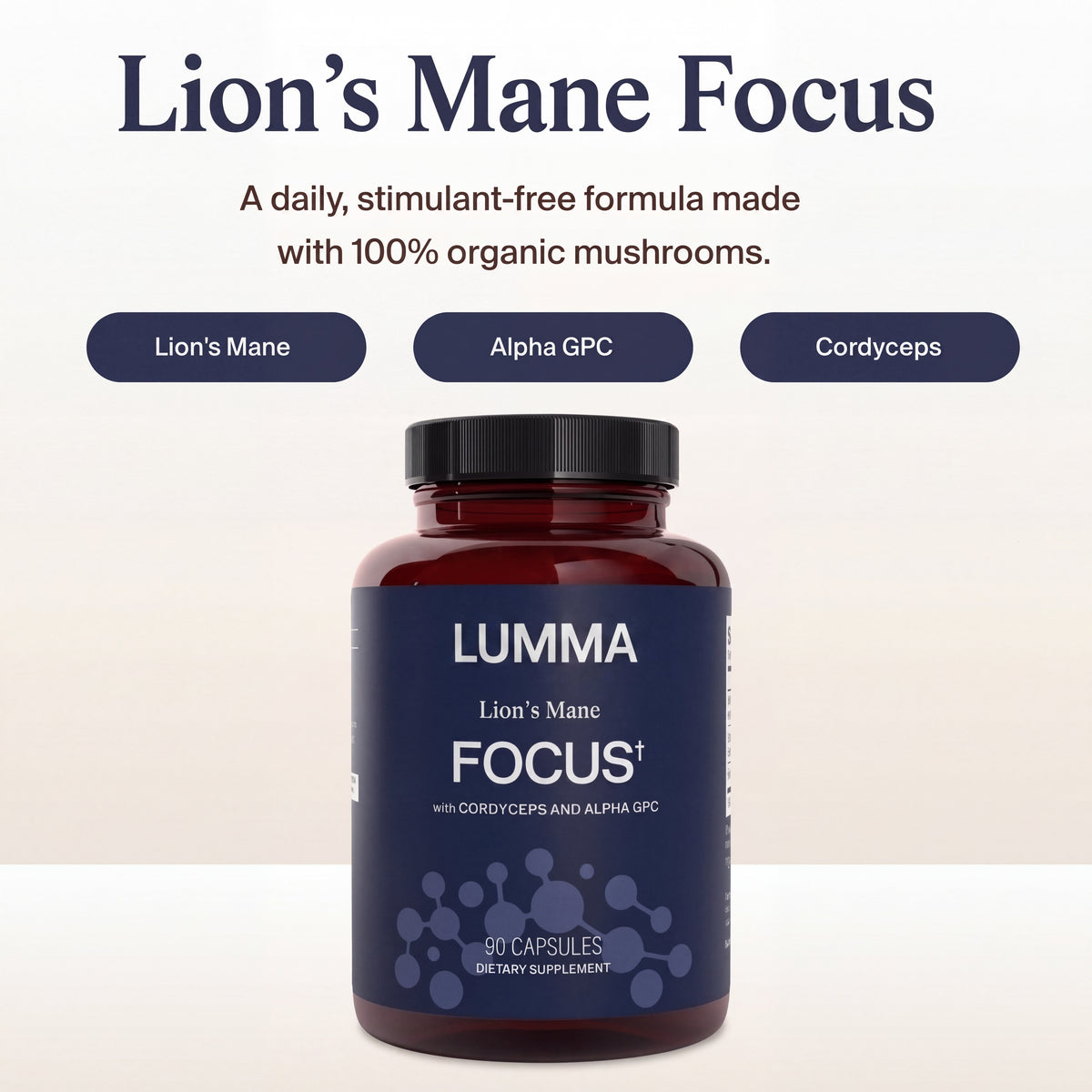 Lions Mane Focus+